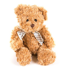 Teddy Bear Brown