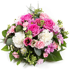 Rose and Carnation Posy Pad