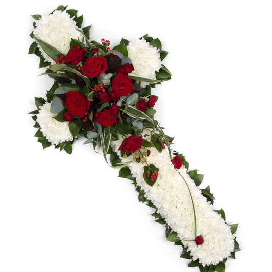 Chrysanthemum Based Cross