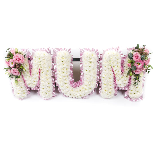 Chrysanthemum Based Mum